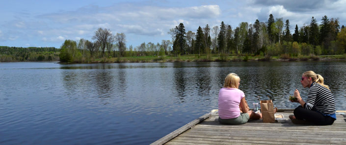 Boulevard Lake Area Improvement Plan