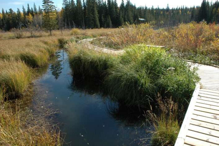 Community Trails Master Plan