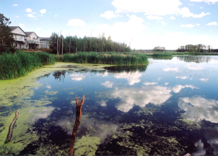 Heritage Wetland Recreational Area