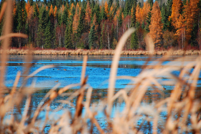 Natural Areas Protection Strategy