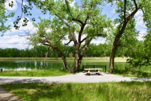 Parks & Recreation Master Plan: Medicine Hat, AB